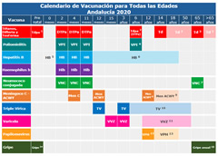 Calendario de vacunaciones 2020